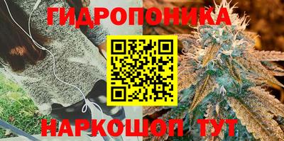 МДПВ Заводоуковск