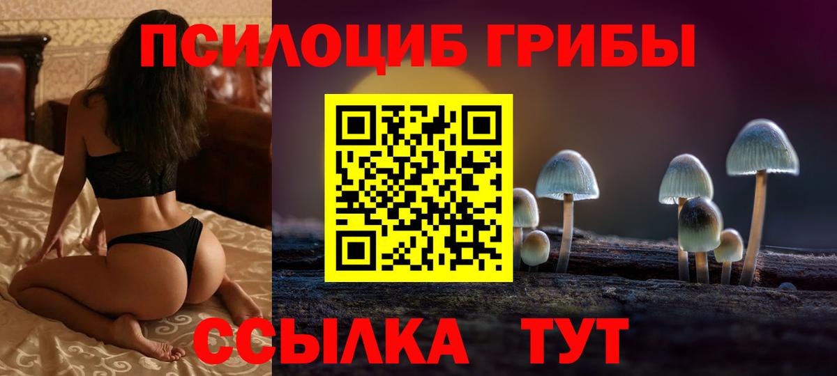 Георгиевск  Псилоцибиновые грибы GOLDEN TEACHER  Вход с VPN  Галлюциногенные грибы MAGIC MUSHROOMS 